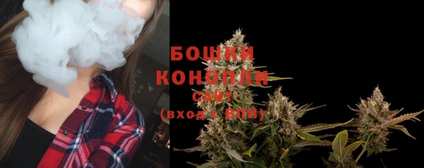 экстази Бородино