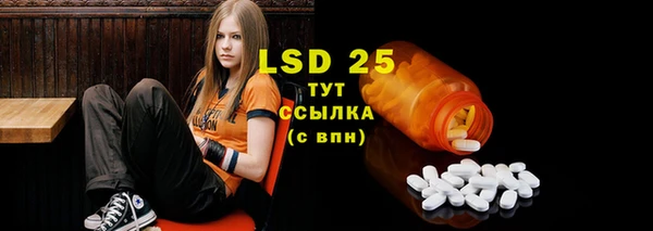 экстази Бородино