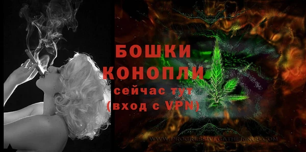 экстази Бородино